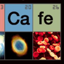 AMNH Announces Public Programs for June 2010